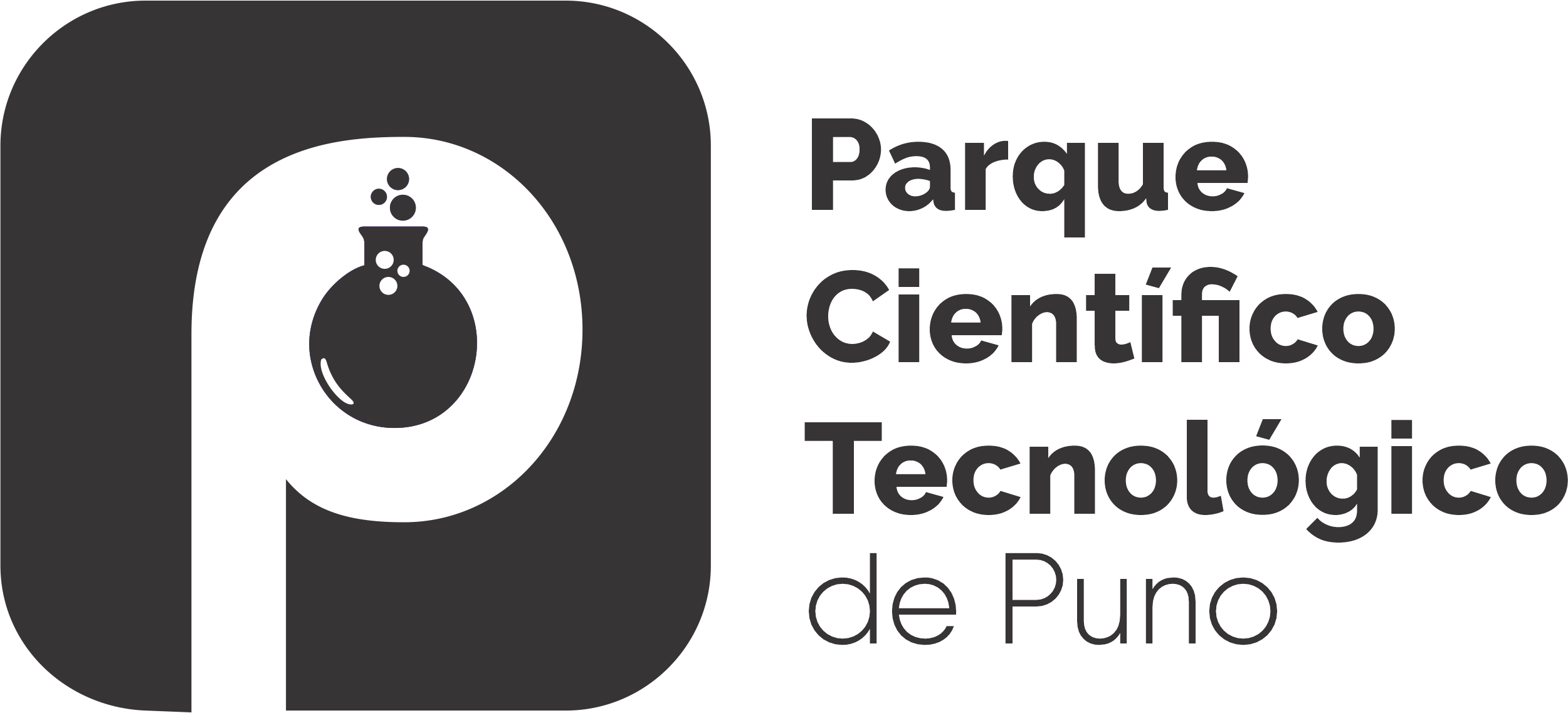 PCT Puno
